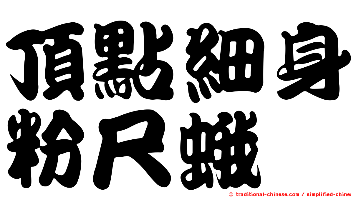 頂點細身粉尺蛾