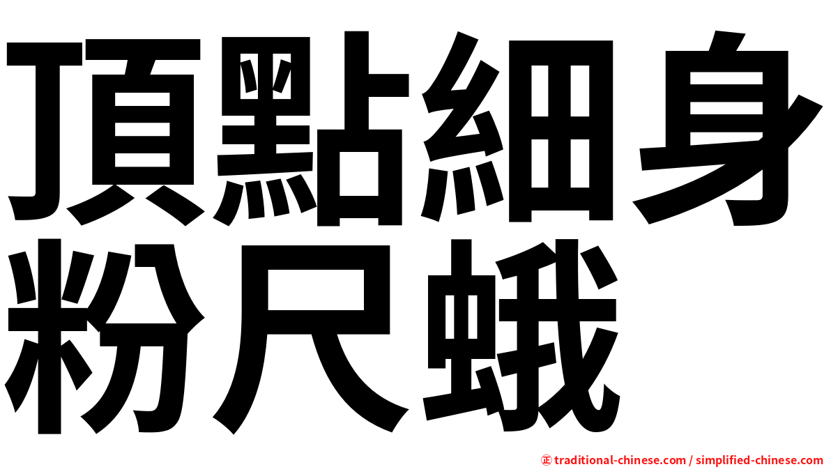 頂點細身粉尺蛾