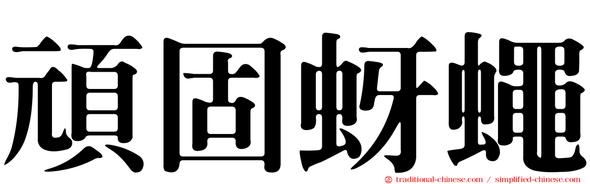 頑固蚜蠅