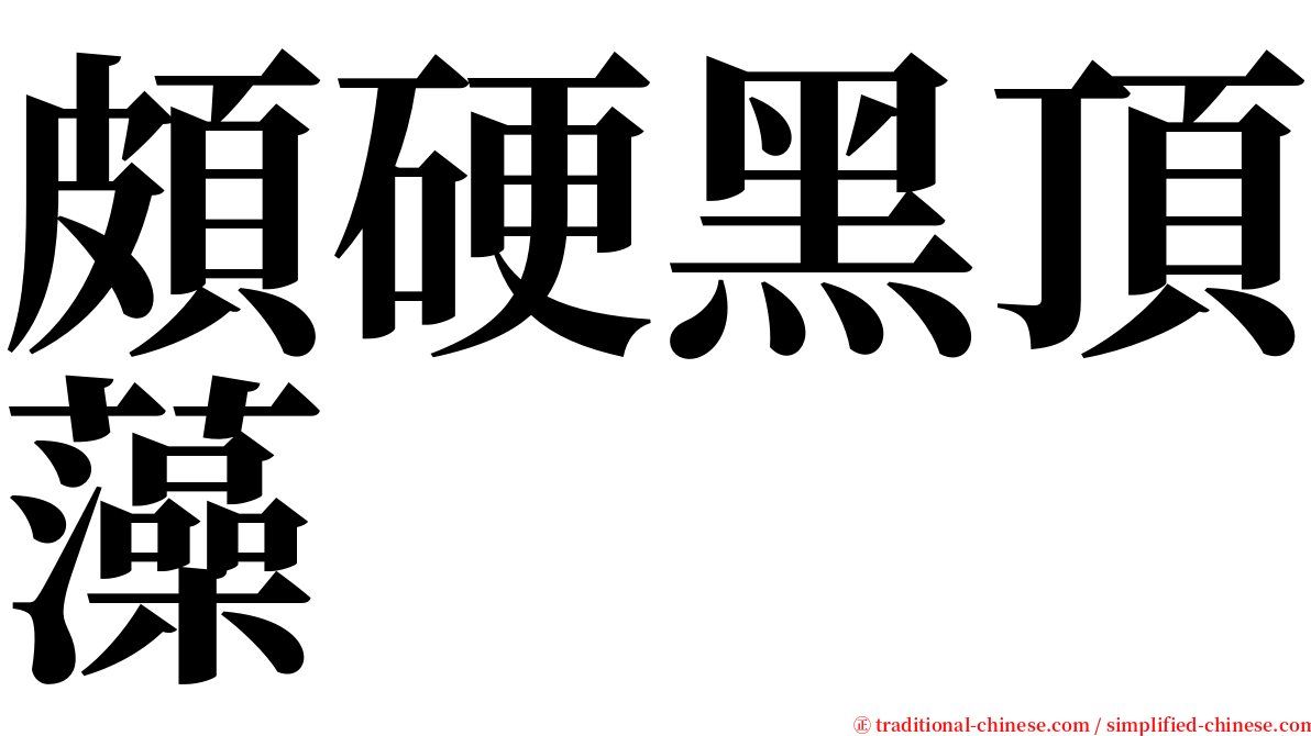 頗硬黑頂藻 serif font