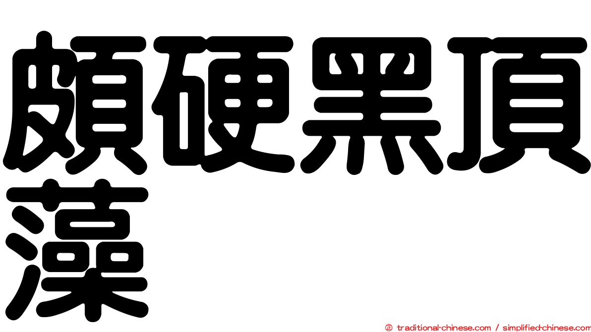 頗硬黑頂藻