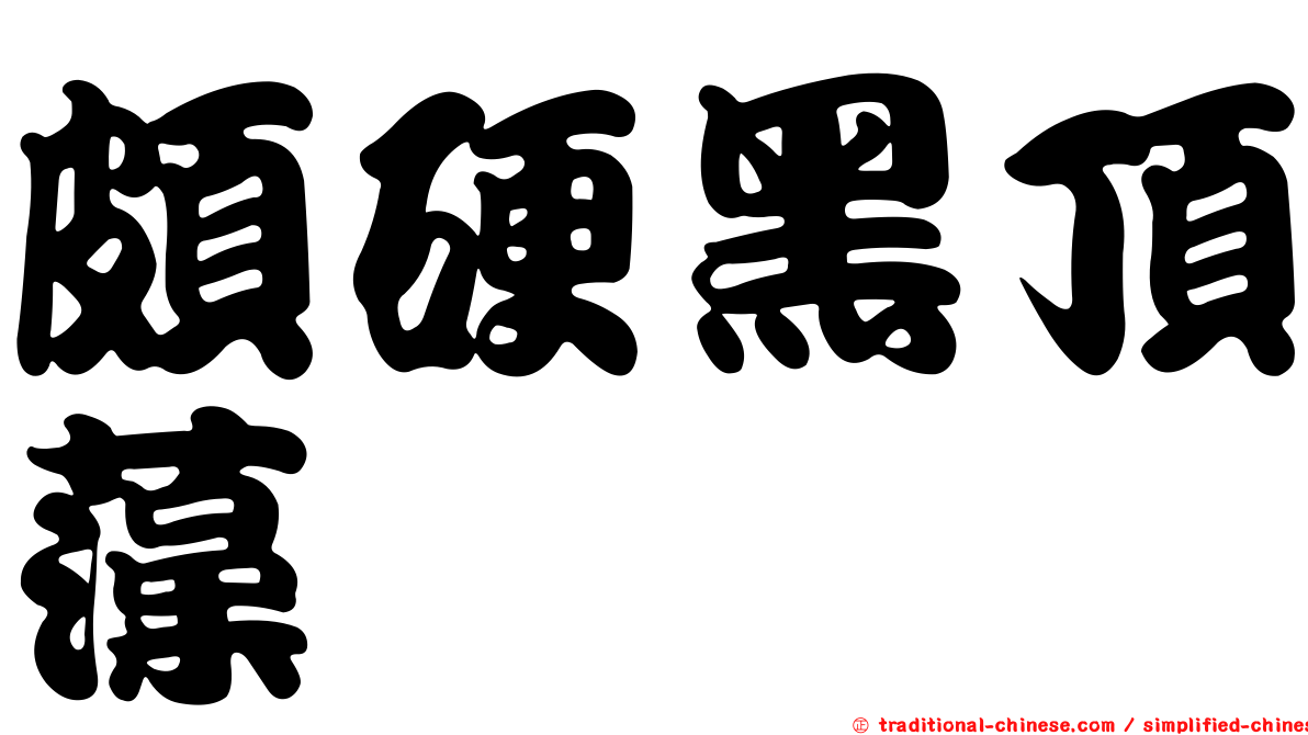 頗硬黑頂藻