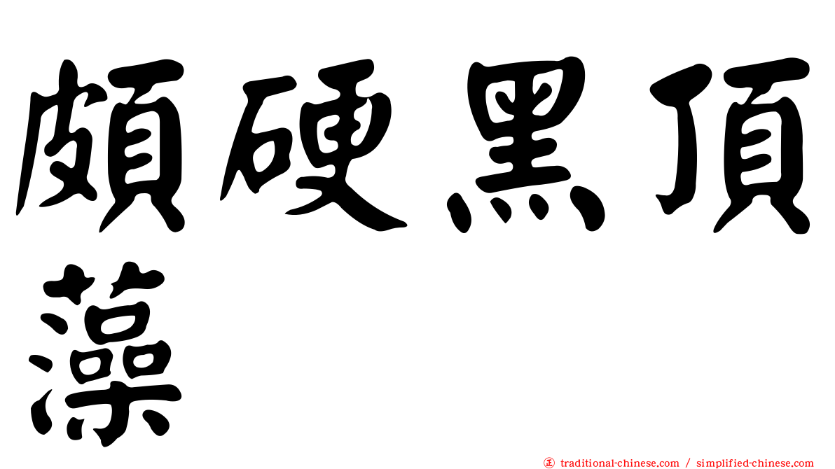 頗硬黑頂藻