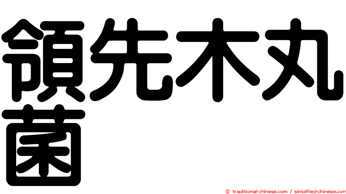 領先木丸菌