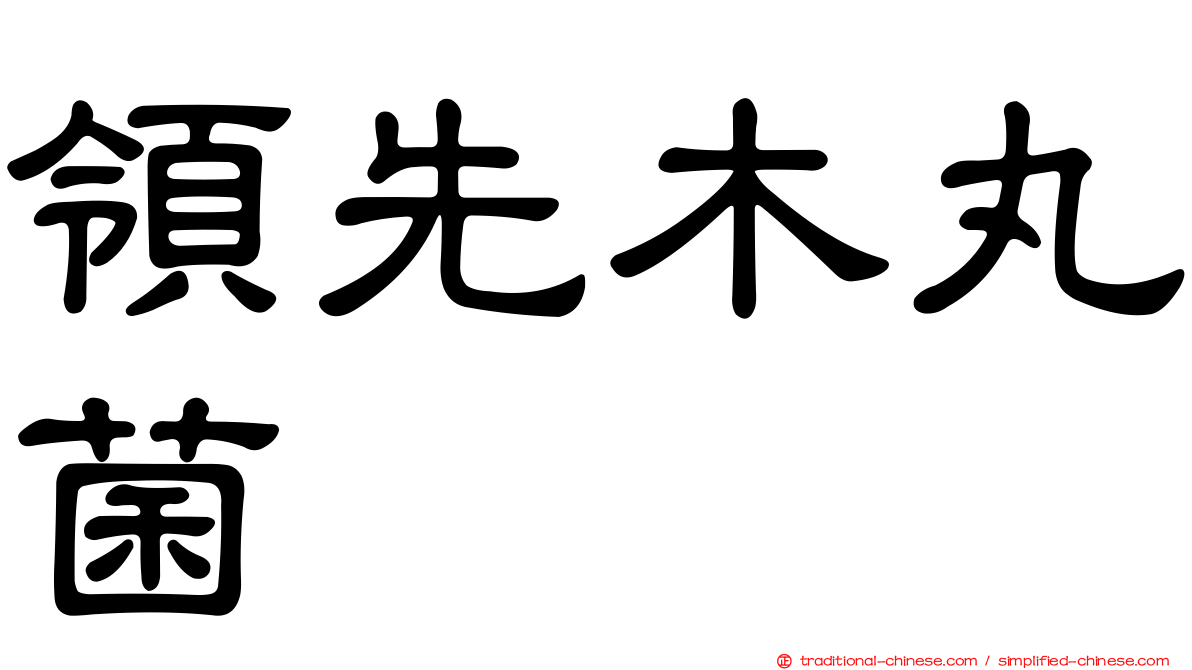 領先木丸菌