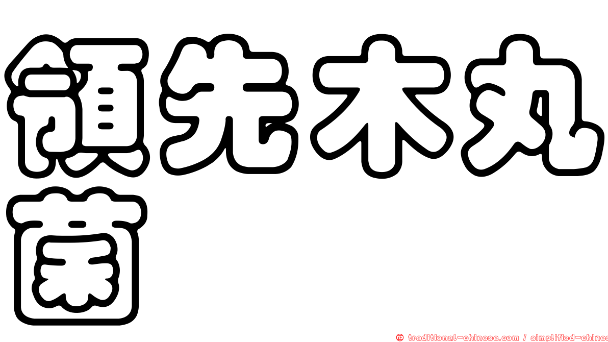 領先木丸菌