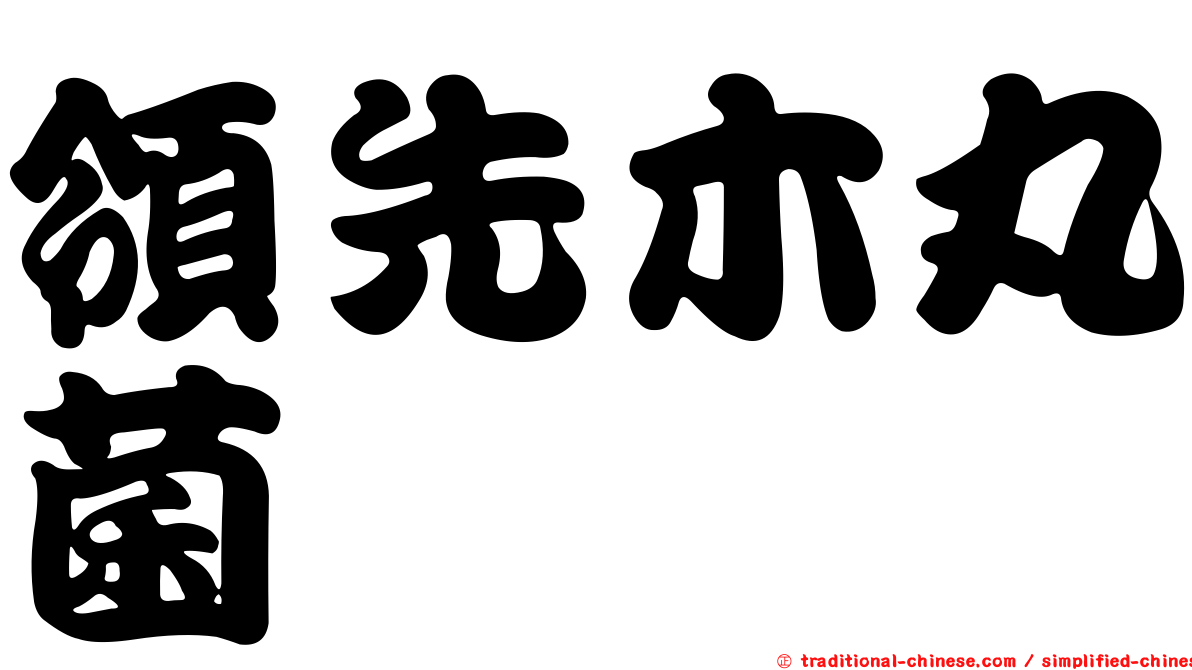 領先木丸菌