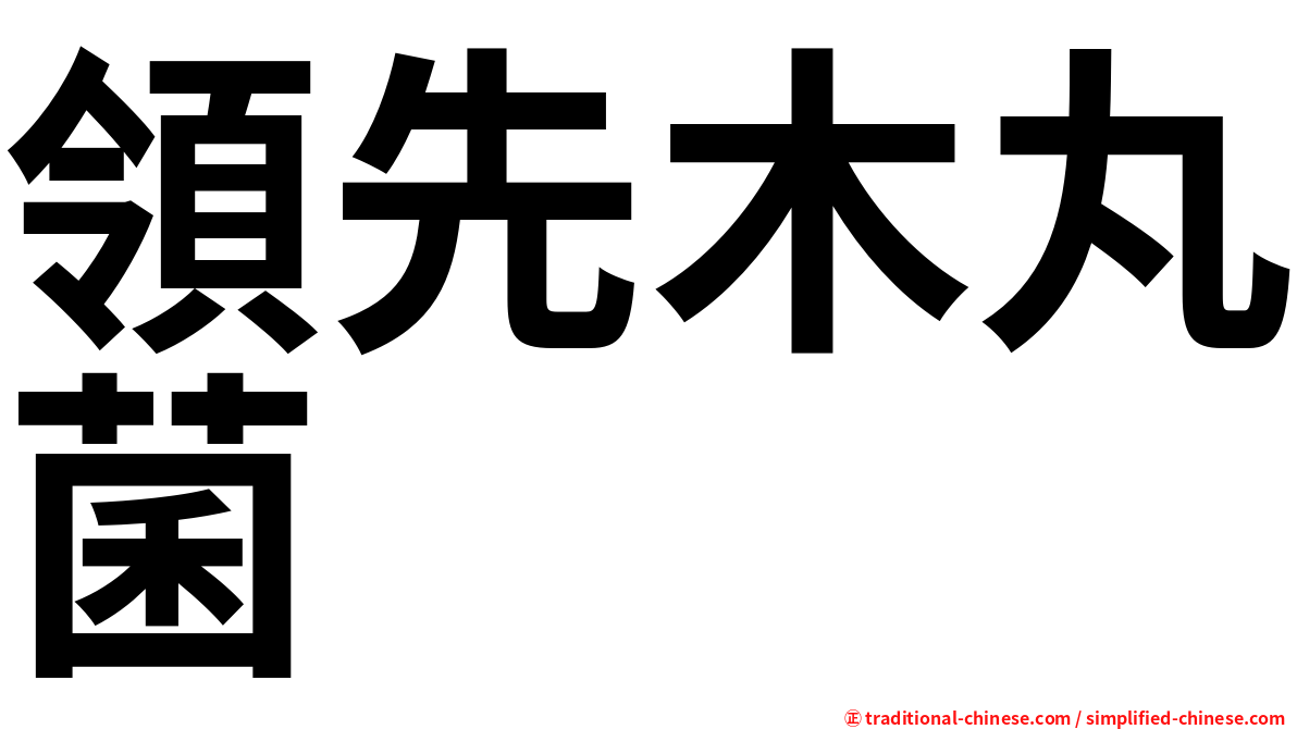 領先木丸菌