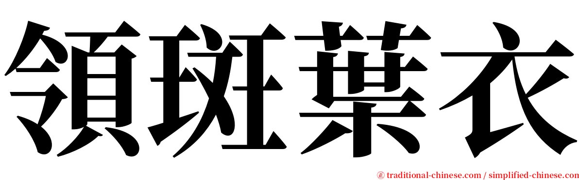 領斑葉衣 serif font