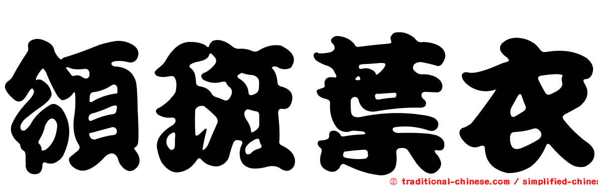 領斑葉衣