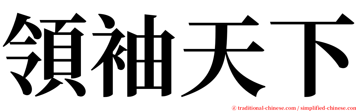 領袖天下 serif font