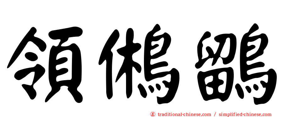 領鵂鶹