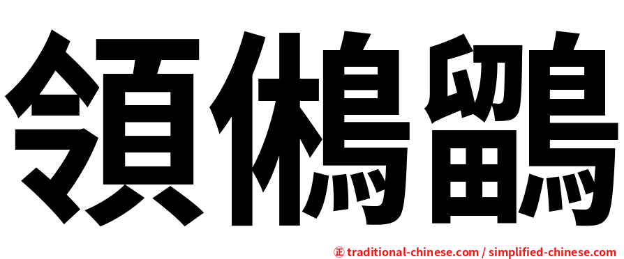領鵂鶹