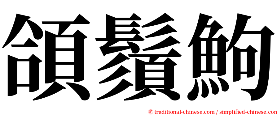 頜鬚鮈 serif font
