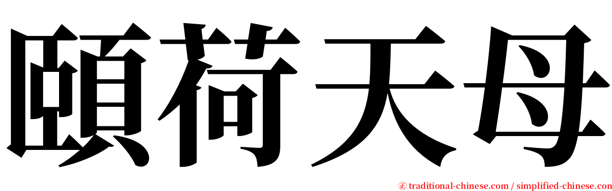 頤荷天母 serif font