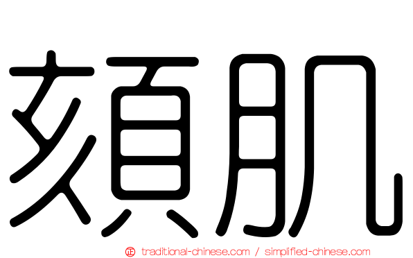 頦肌