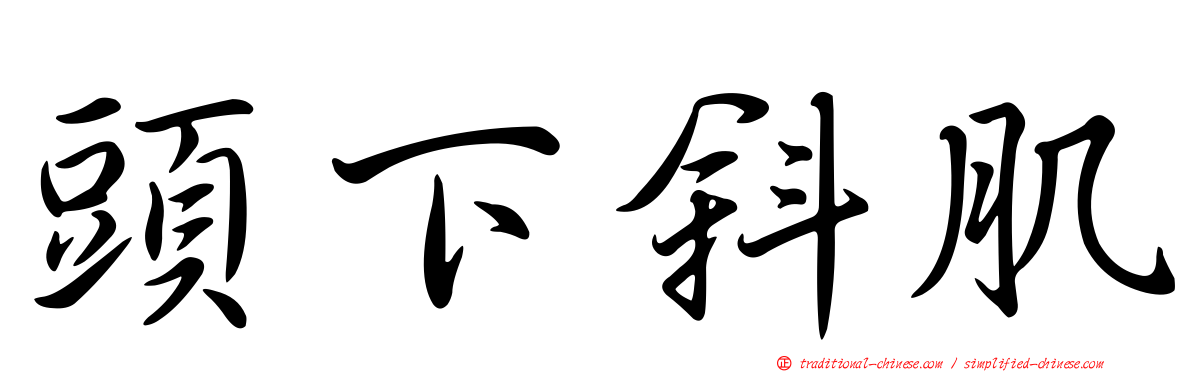 頭下斜肌