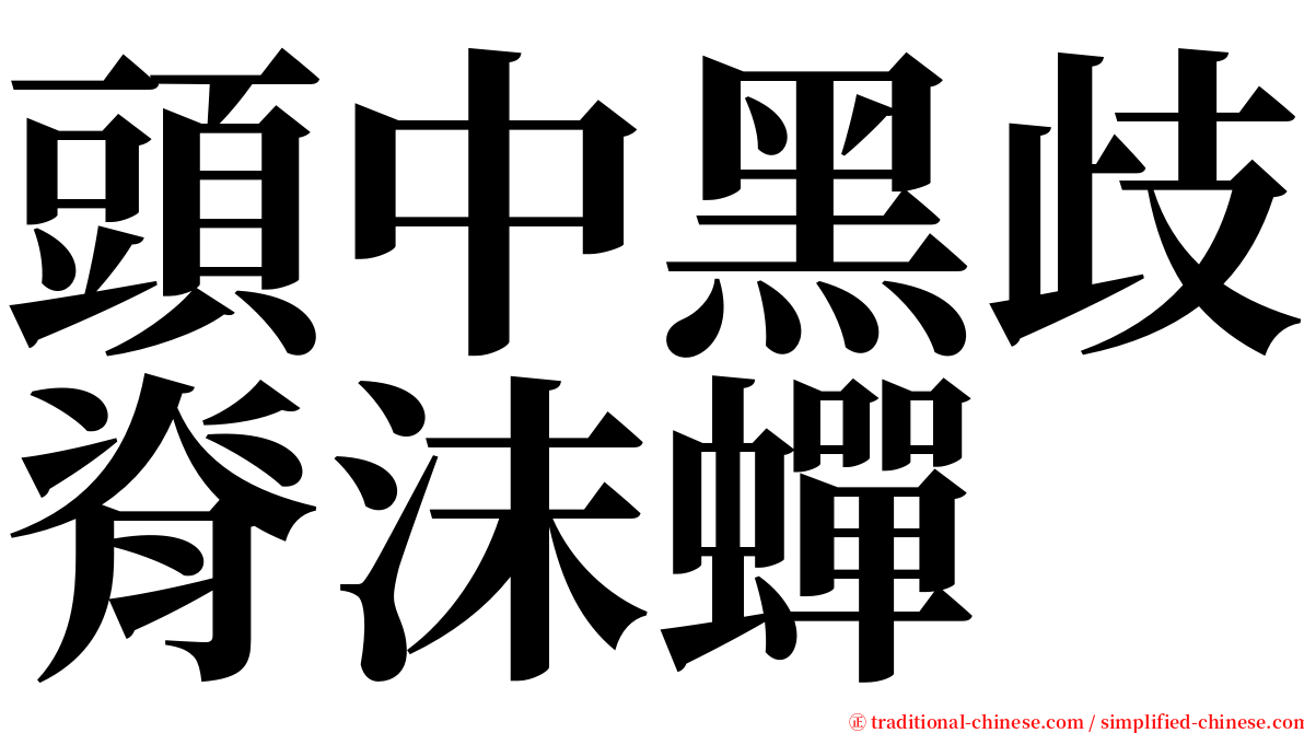 頭中黑歧脊沫蟬 serif font