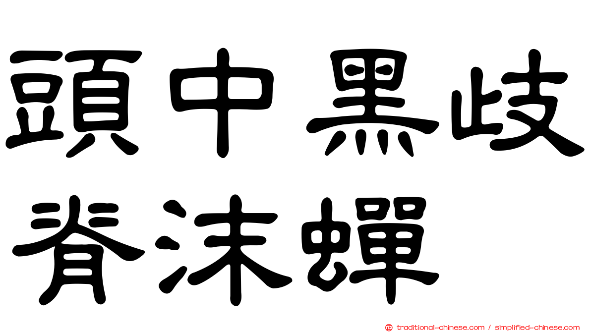 頭中黑歧脊沫蟬