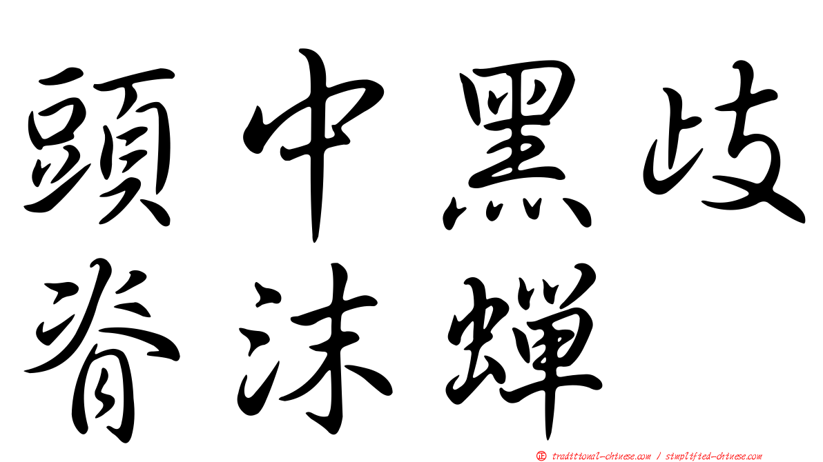 頭中黑歧脊沫蟬