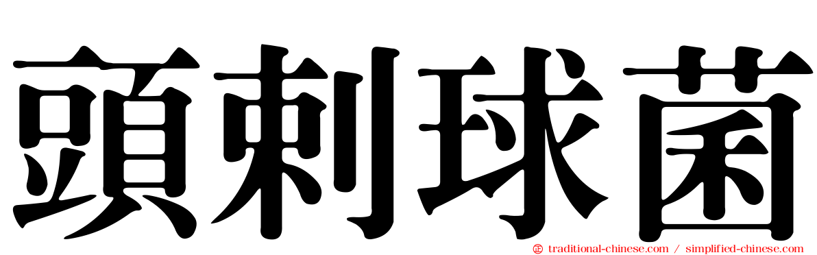 頭剌球菌