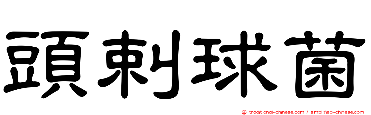 頭剌球菌