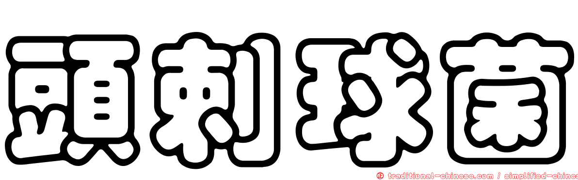 頭剌球菌