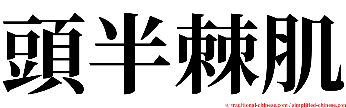 頭半棘肌 serif font