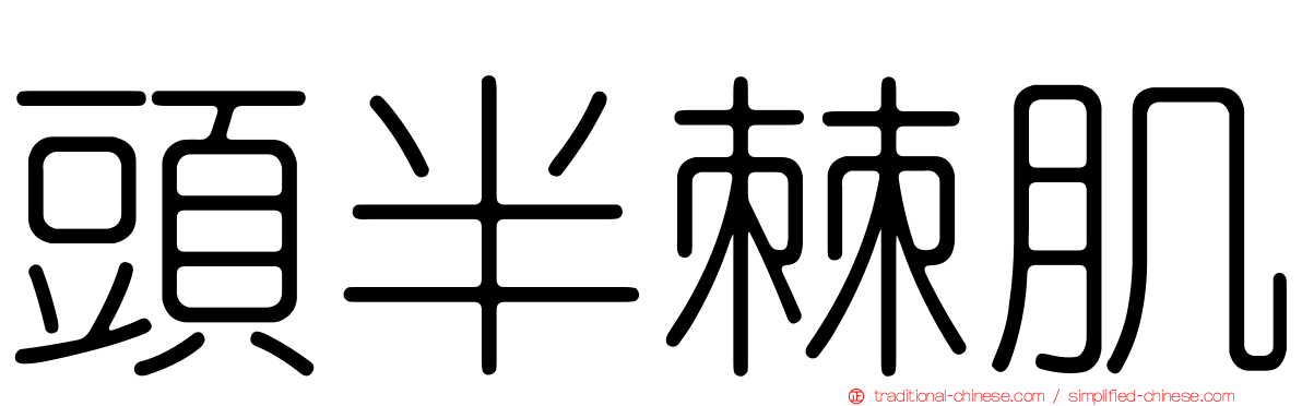 頭半棘肌