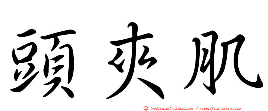 頭夾肌