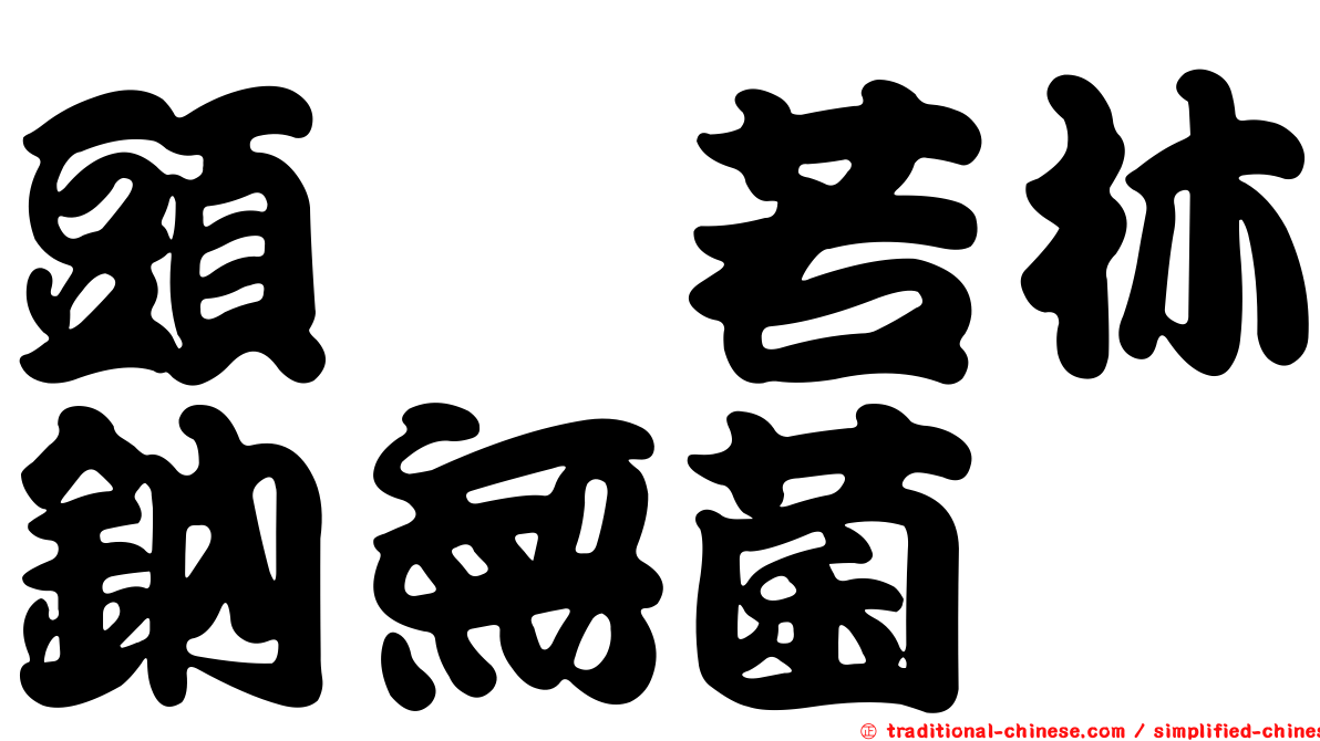 頭孢若林鈉無菌