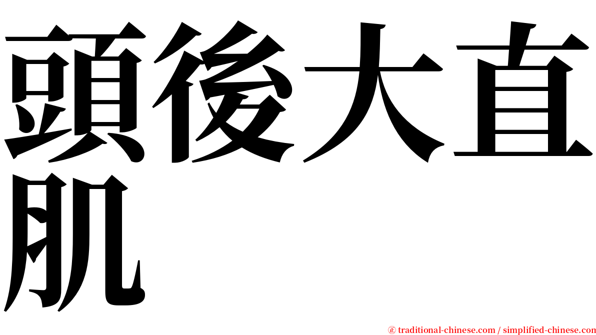頭後大直肌 serif font