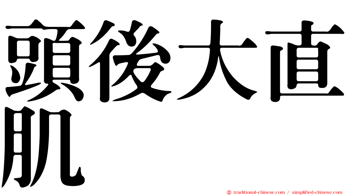 頭後大直肌