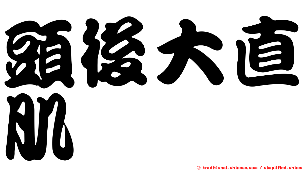 頭後大直肌