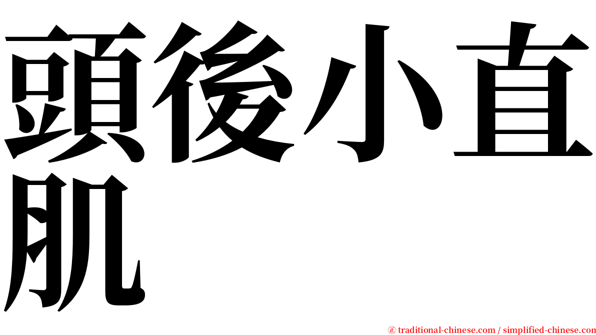 頭後小直肌 serif font