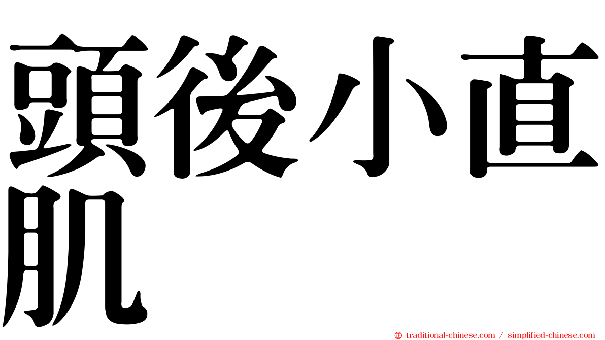 頭後小直肌