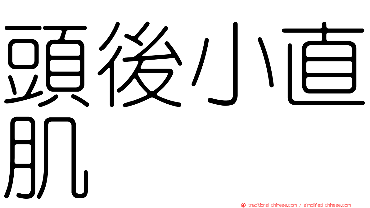 頭後小直肌
