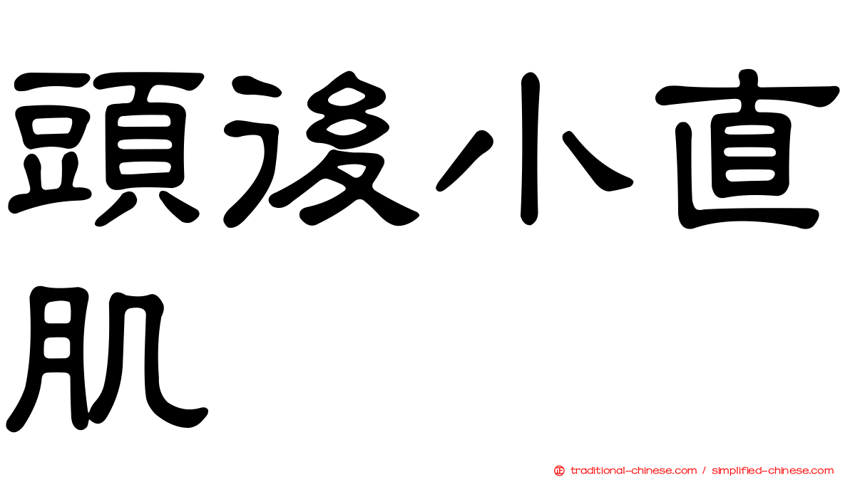 頭後小直肌