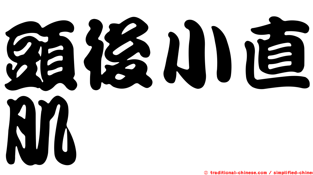 頭後小直肌