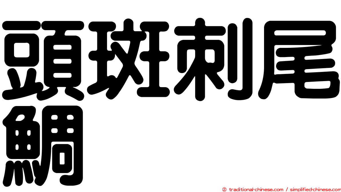 頭斑刺尾鯛