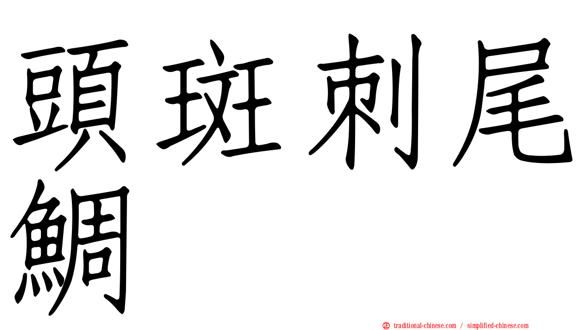頭斑刺尾鯛
