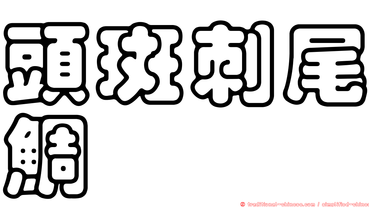頭斑刺尾鯛