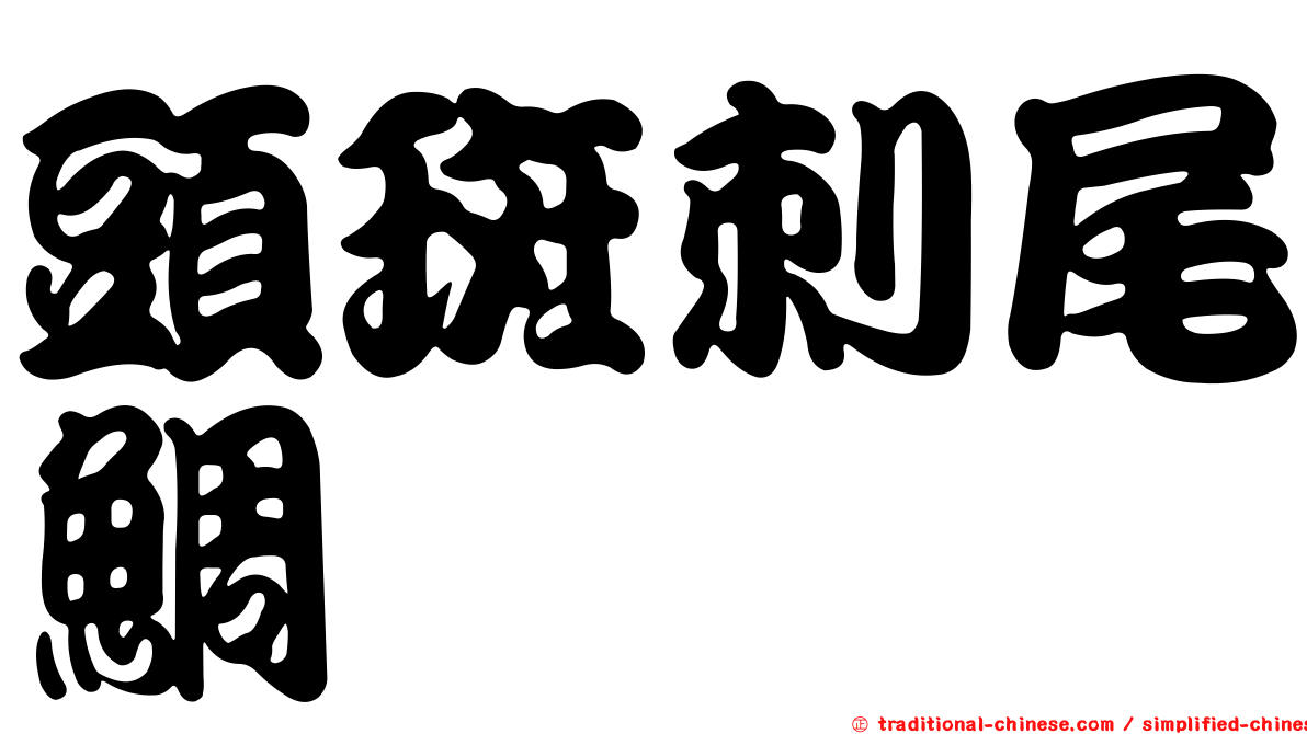頭斑刺尾鯛