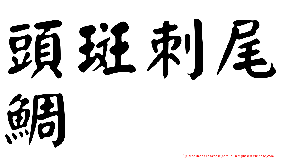 頭斑刺尾鯛