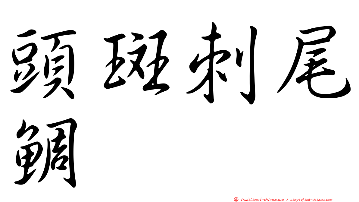 頭斑刺尾鯛