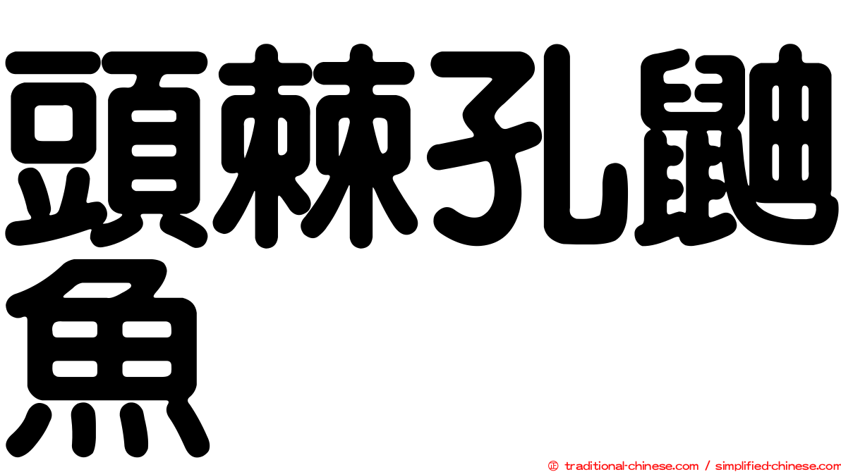 頭棘孔鼬魚