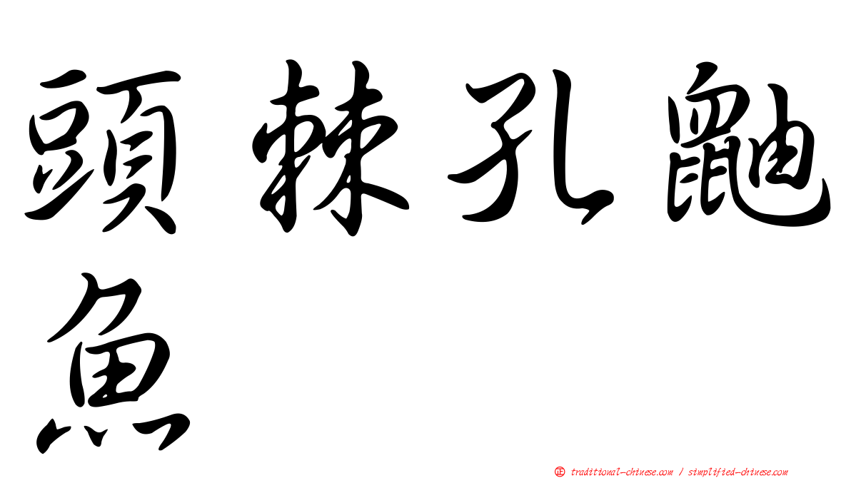 頭棘孔鼬魚