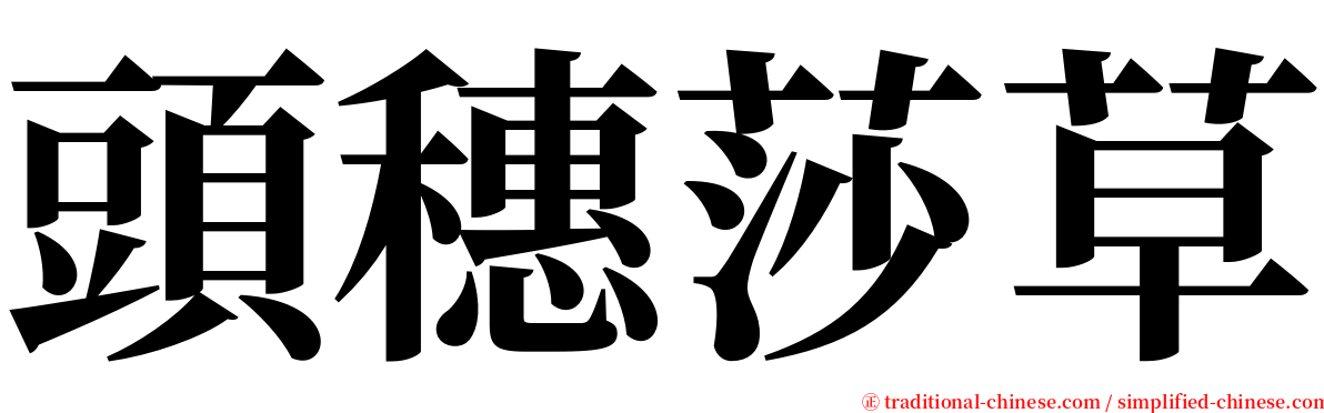 頭穗莎草 serif font