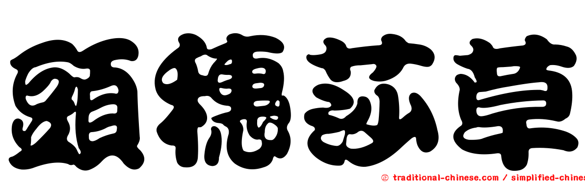 頭穗莎草