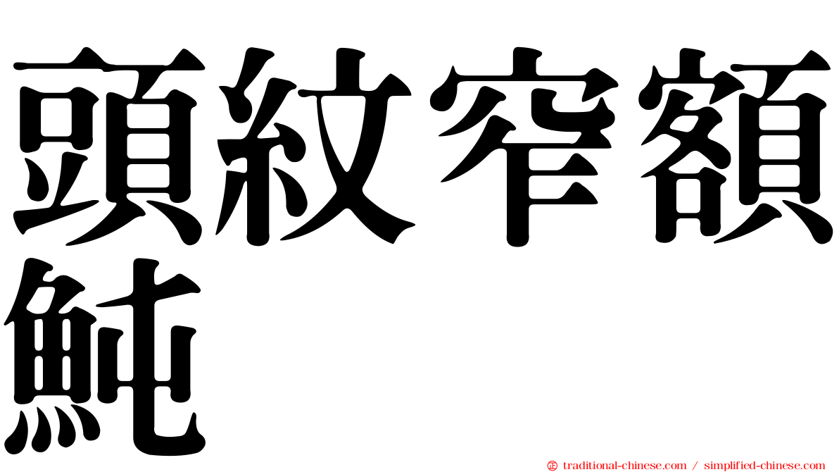 頭紋窄額魨